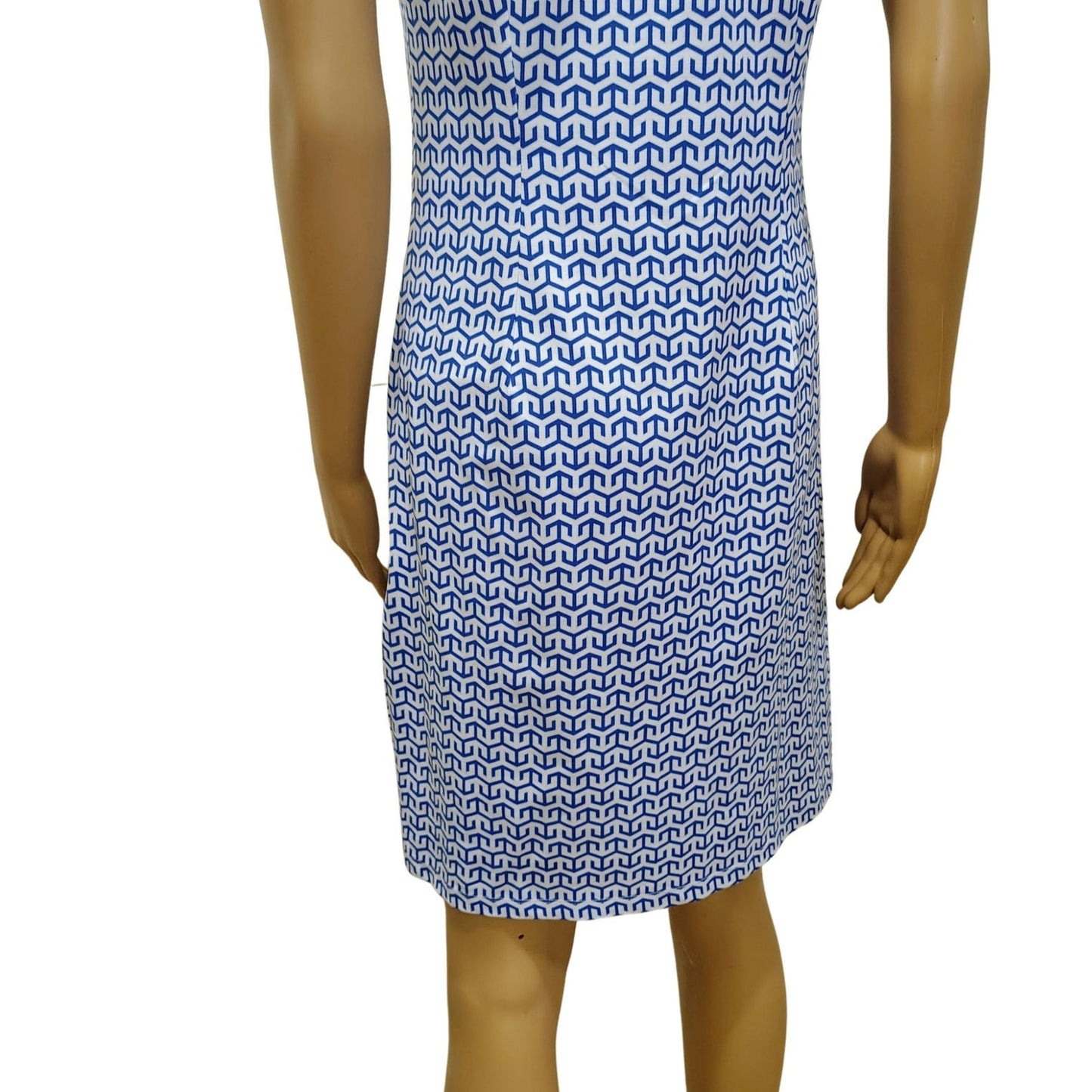 J. McLaughlin Ivana Women Short Sleeve Blue White Short Athletic Dress Sz Small