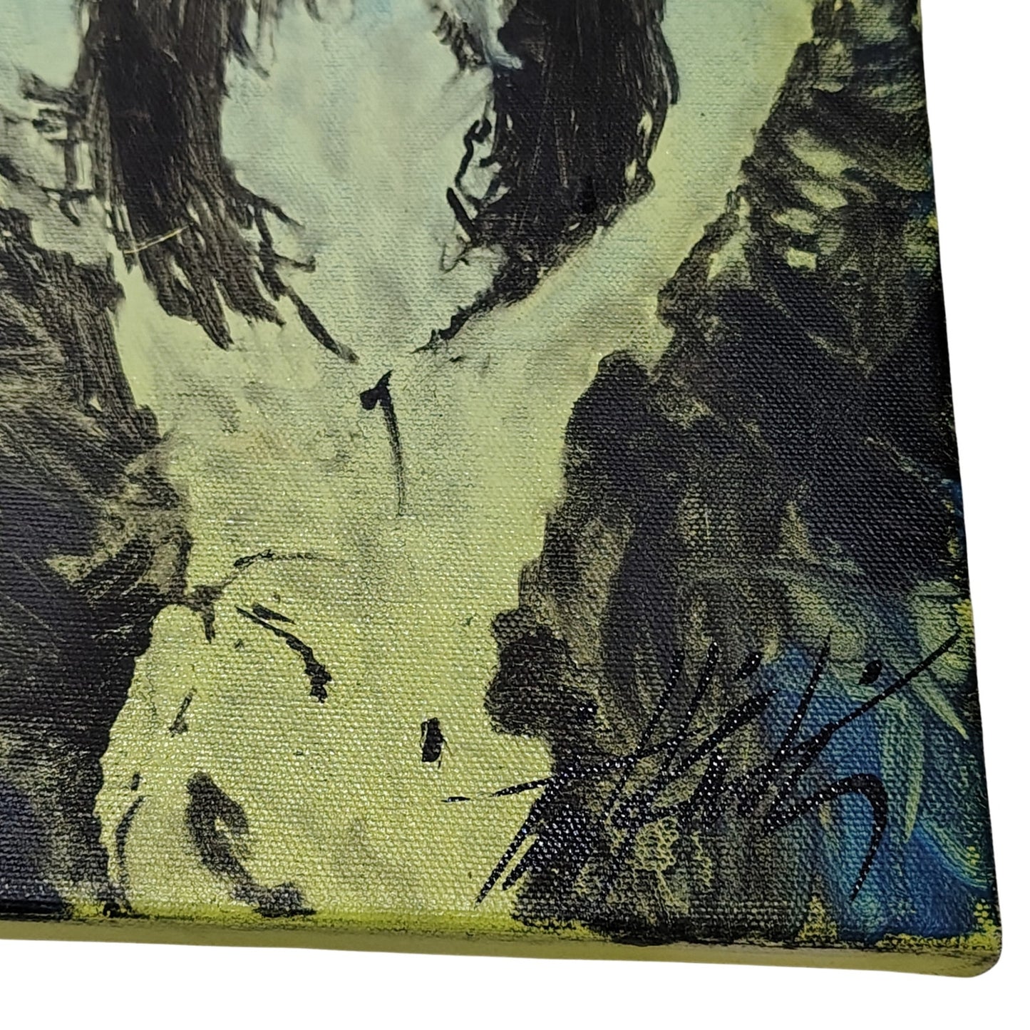 Bjork Hand Painted Canvas 12x9in Black Green Blue Arizona Local Art 2012 [Vintage]