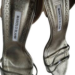 Manolo Blahnik Bronze Leather and Transparent PVC Lavanasa Sandals Size 10.5