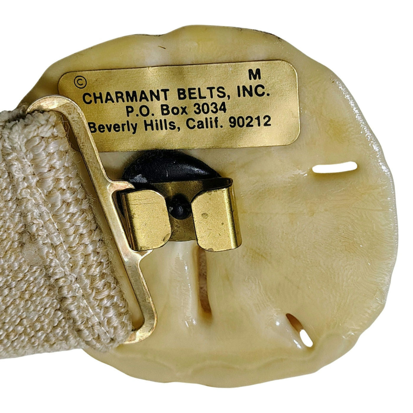 1980s Genuine Sand Dollar Elastic Waist Cinching Defining Belt Cream Medium [Vintage]