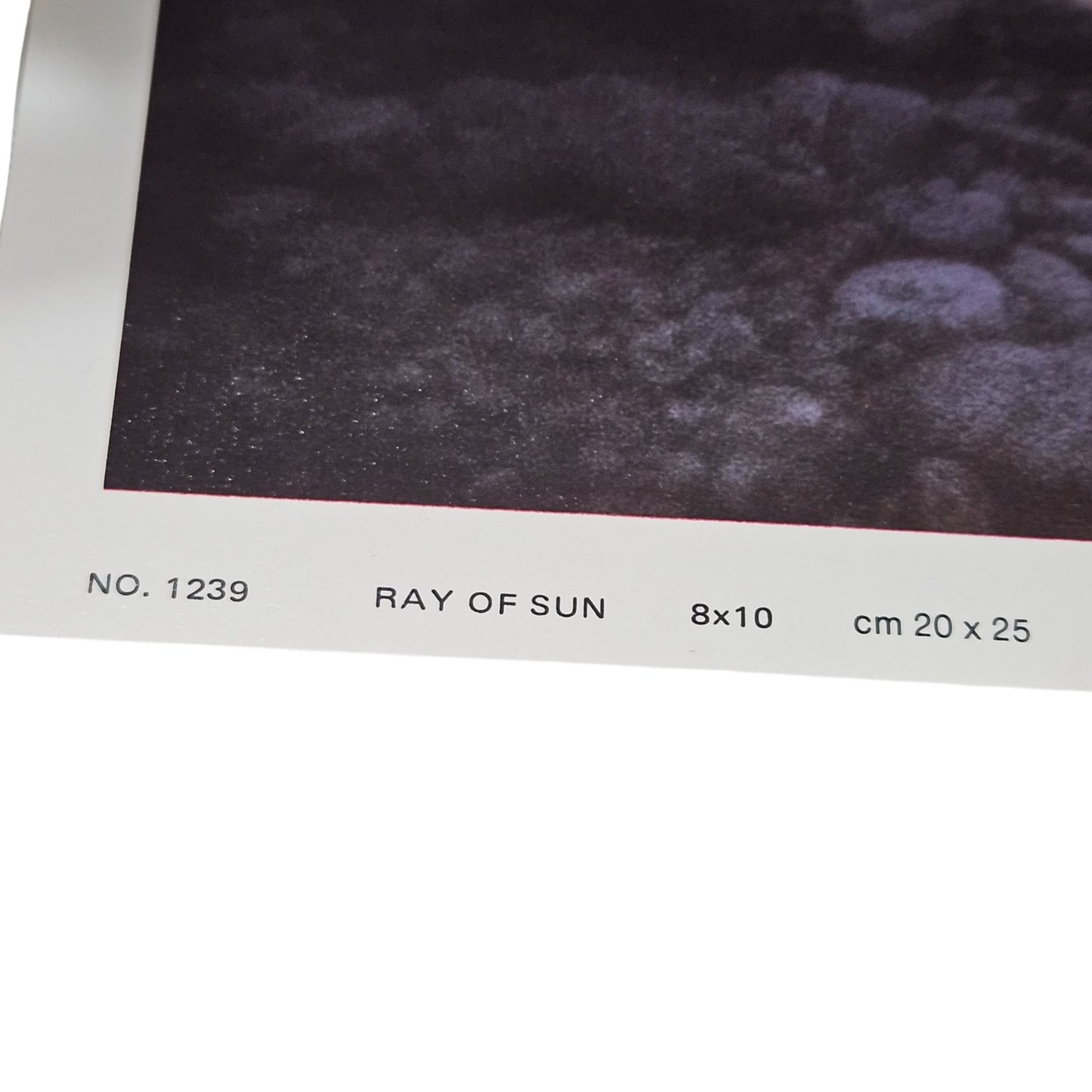 1980 Print "Ray of Sun" 8x10 Ira Roberts Publishing, Inc. Litho in U.S.A. Silver [Vintage]