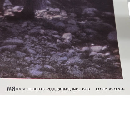 1980 Print "Ray of Sun" 8x10 Ira Roberts Publishing, Inc. Litho in U.S.A. Silver [Vintage]