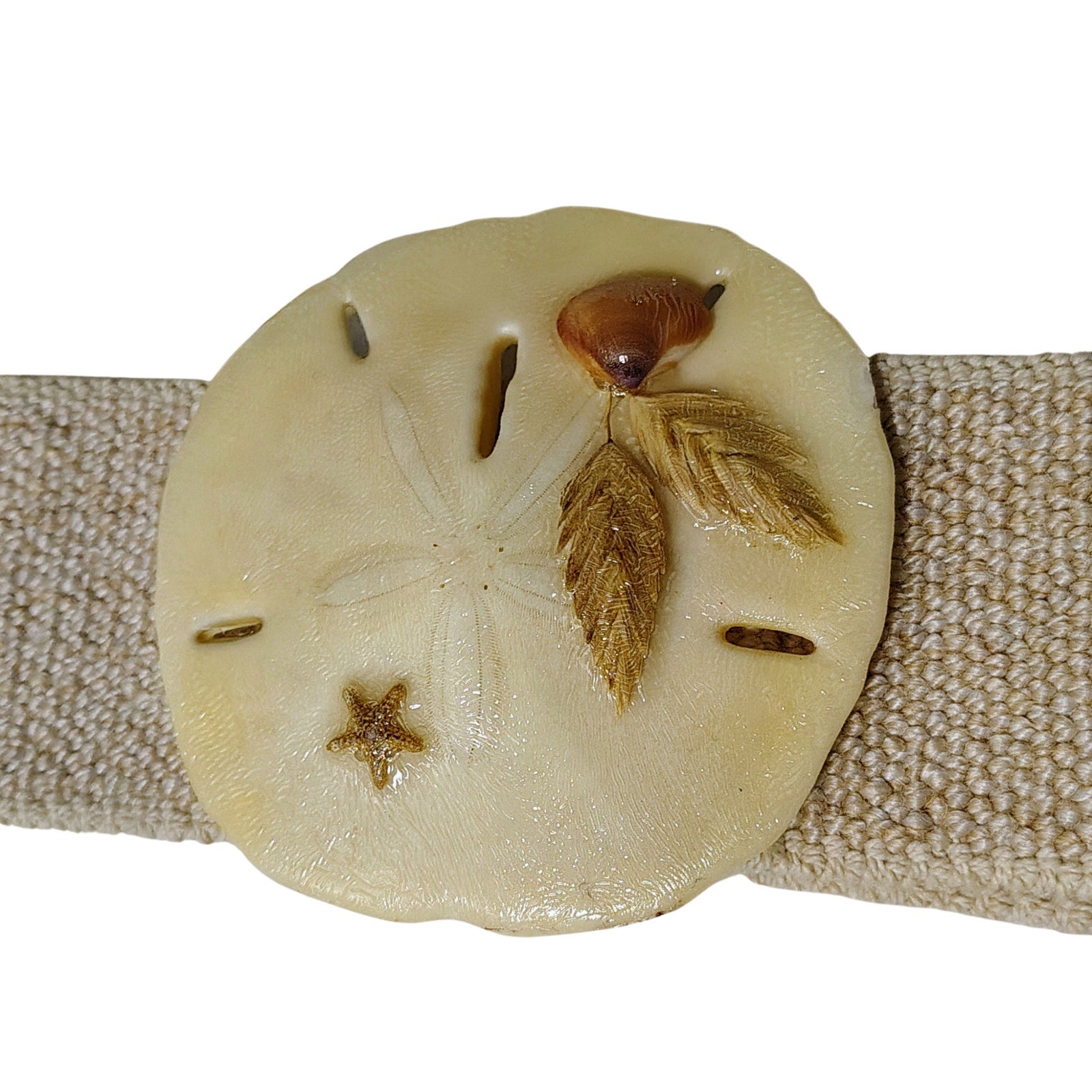 1980s Genuine Sand Dollar Elastic Waist Cinching Defining Belt Cream Medium [Vintage]